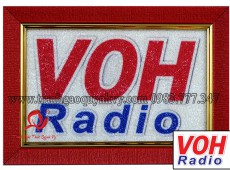 Tranh Gạo Logo VOH Radio - 16 x 25
