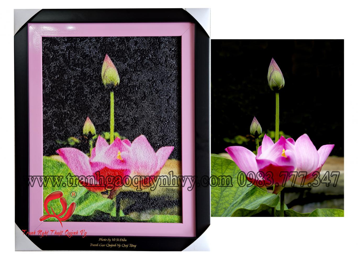 Hoa Sen 30 x 40
