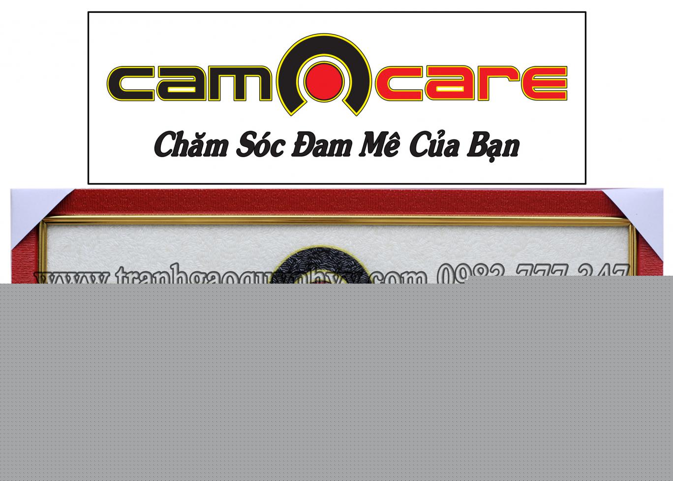 Tranh Gạo Logo Camcare 18 x 52
