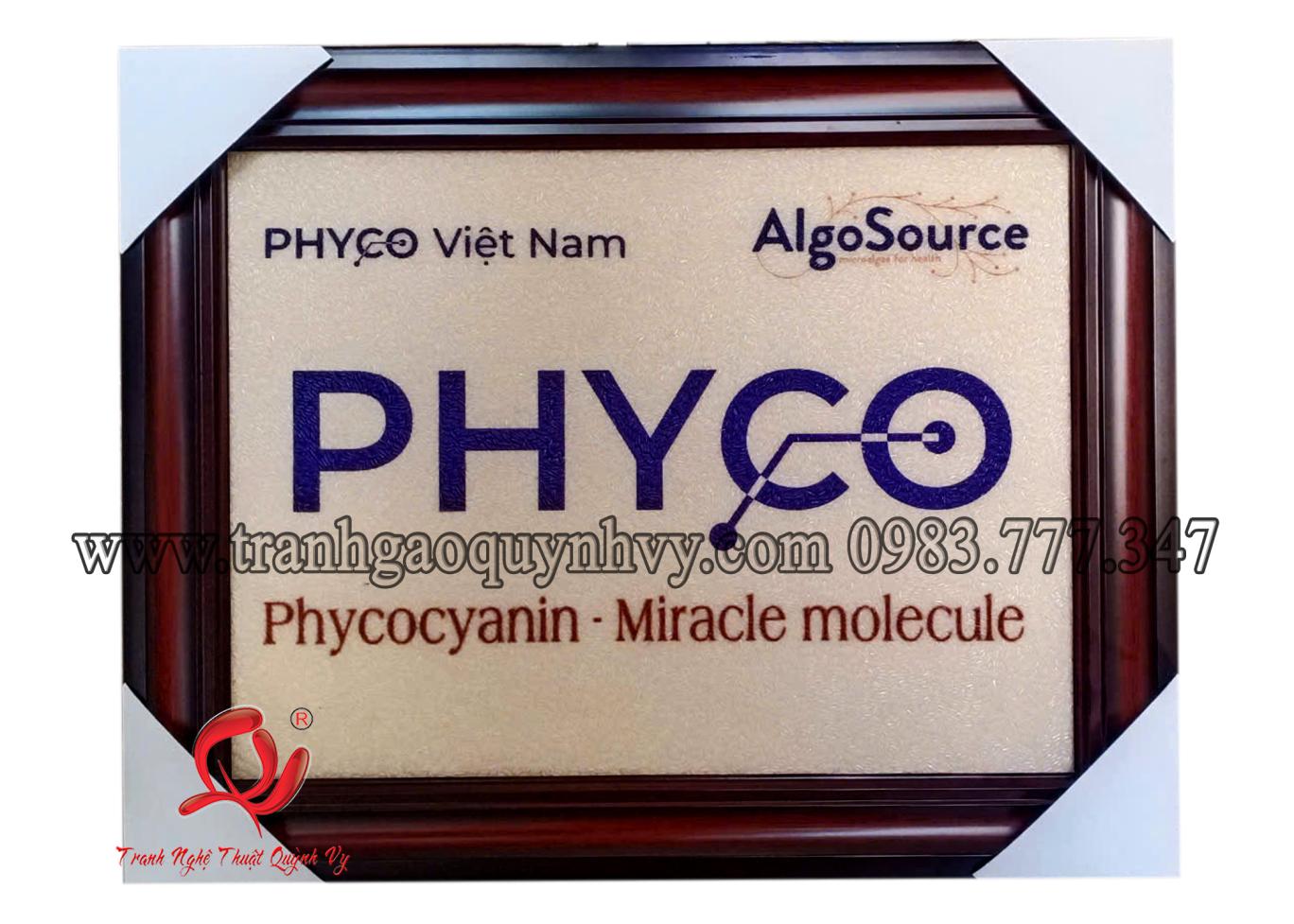 Logo PHYCO 30 x 40