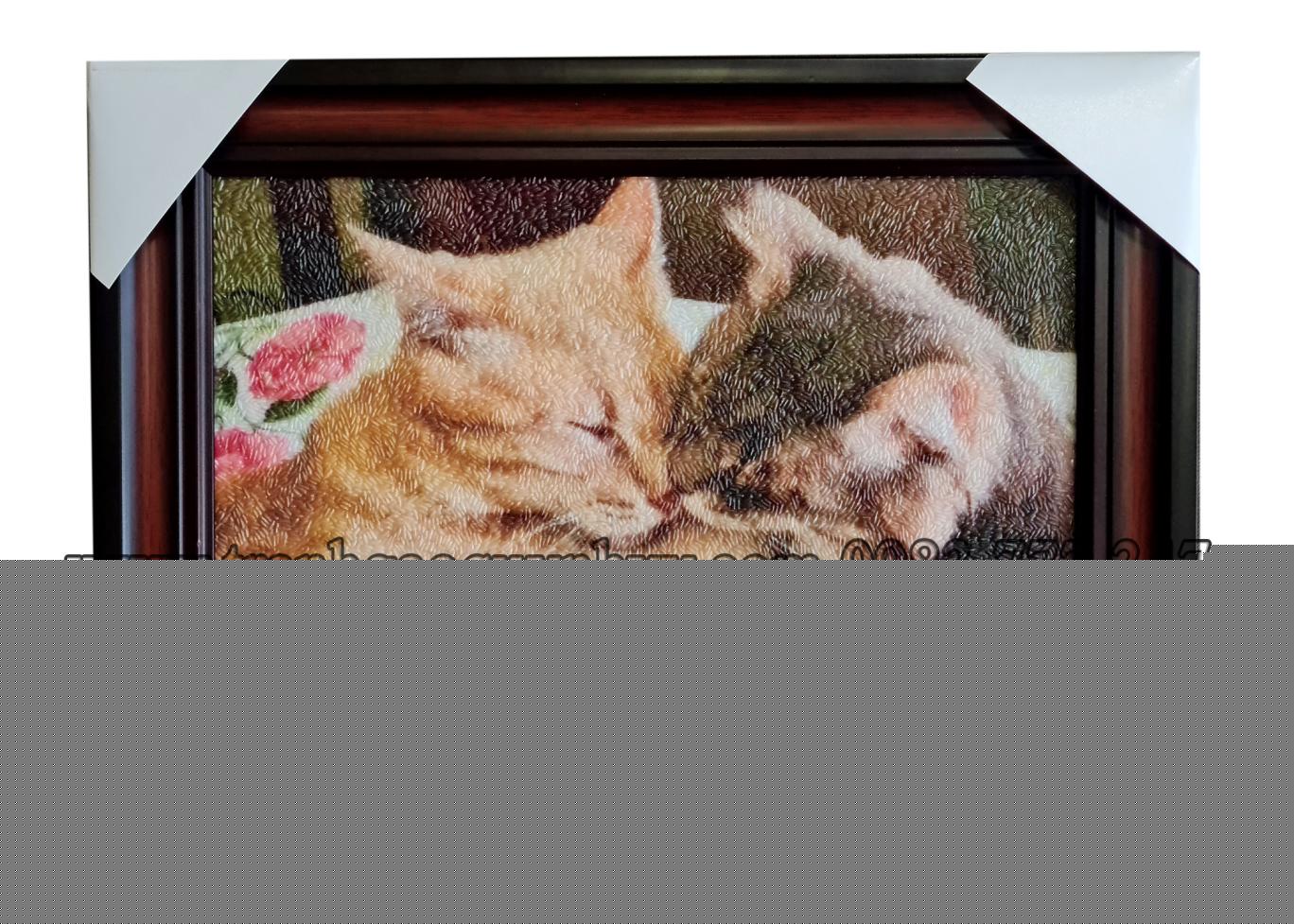 Mèo Cưng 25 x 35