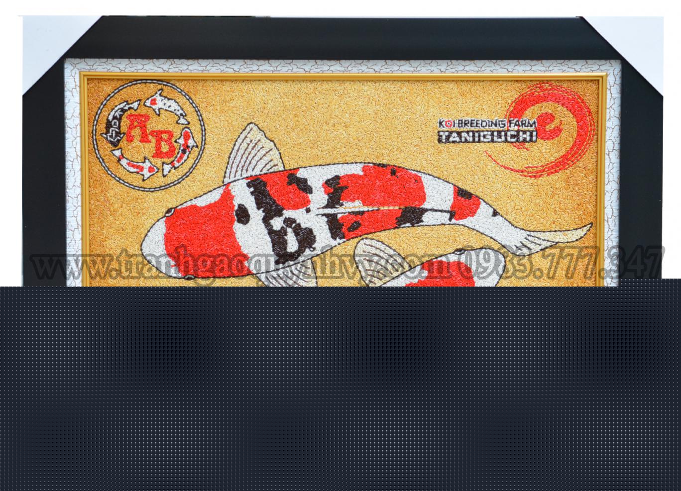 Tranh Gạo Cá Koi & Logo AB 