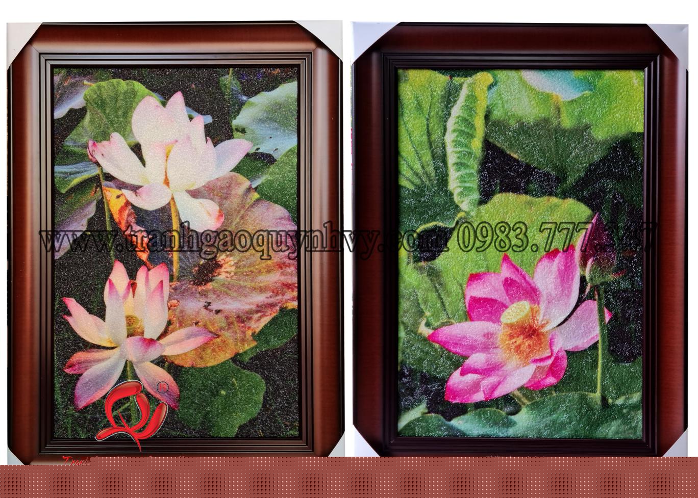 Sen 40 x 60 - 2 mẫu mới 2025