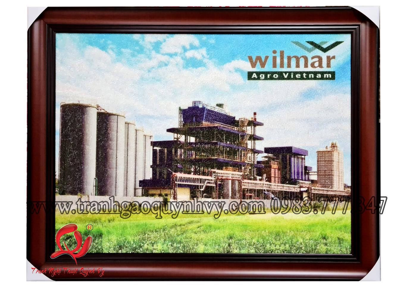 Nhà Máy Công Ty Wilmar 60 x 80