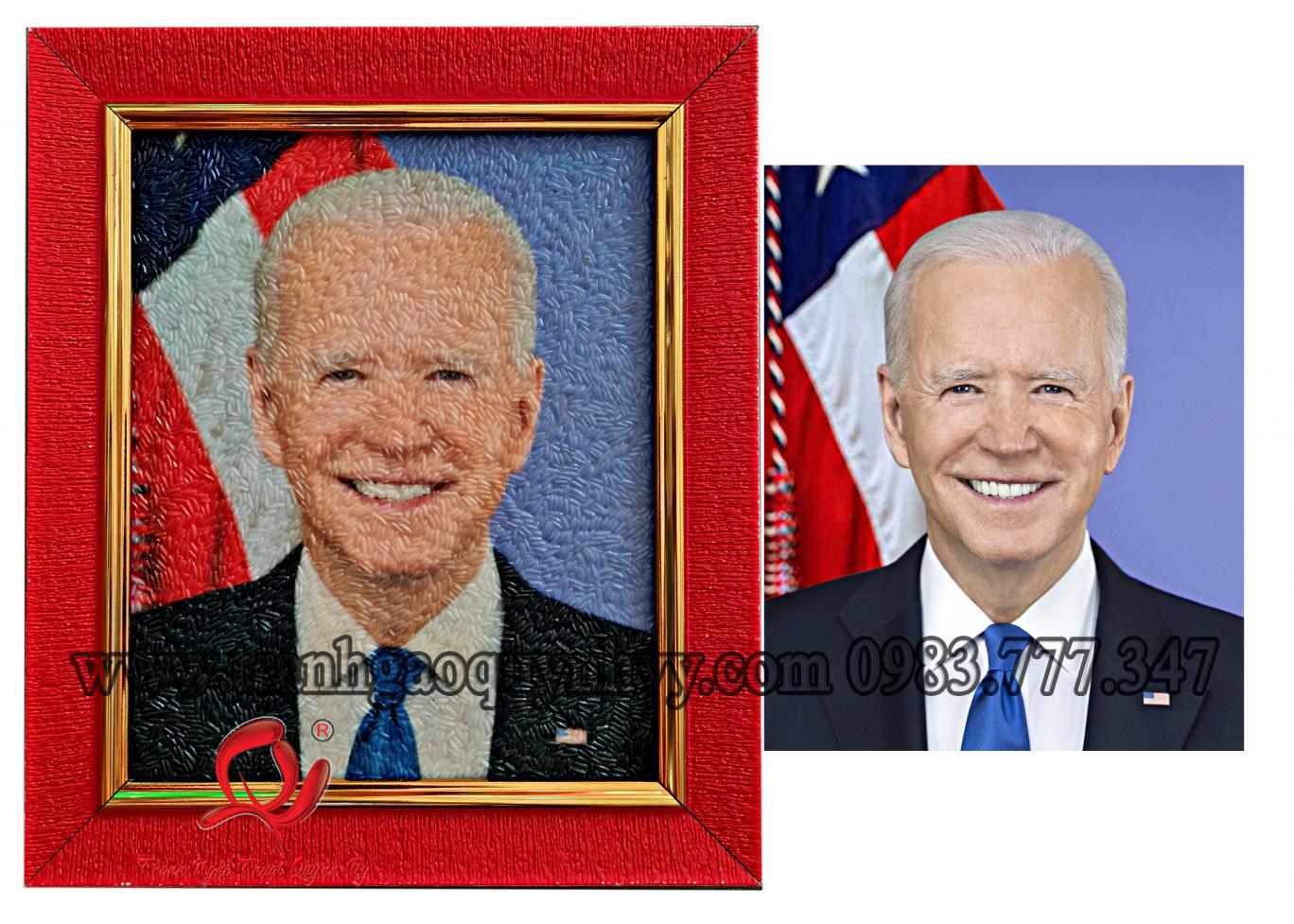 Chân Dung Biden - 18 x 22