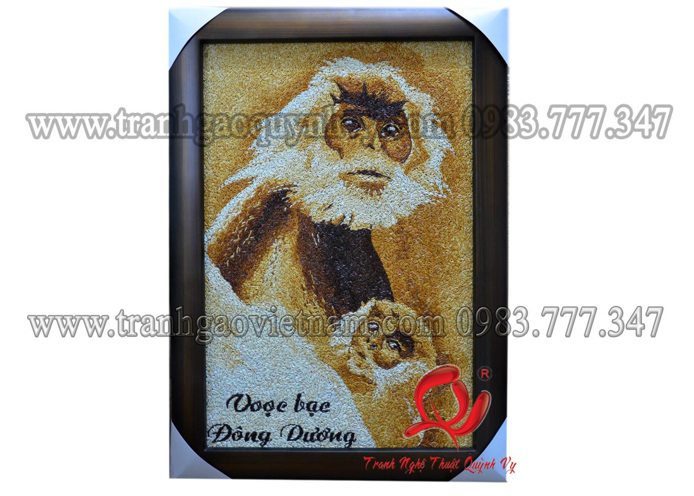 Voọc Bạc Đông Dương