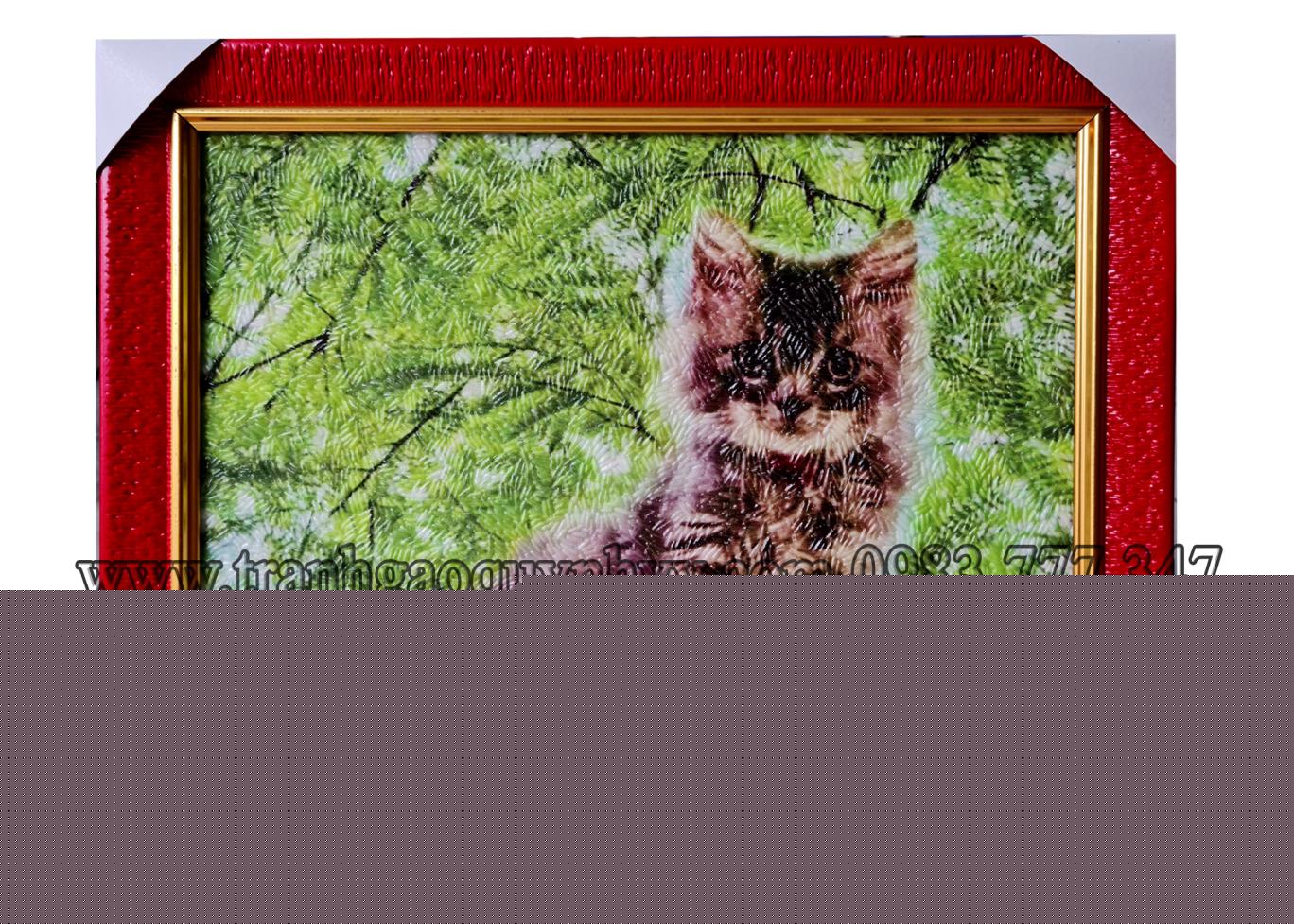 Mèo Cưng 22 x 28