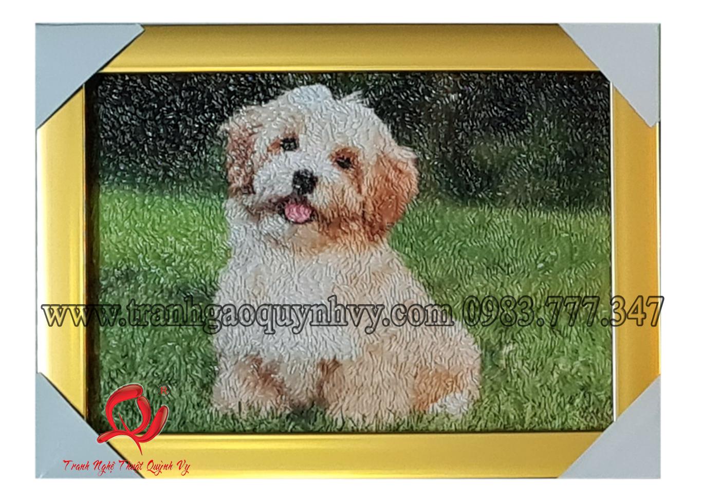Pet Cưng - 20 x 25