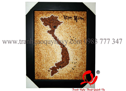 Bản đồ VN kiểu 2 